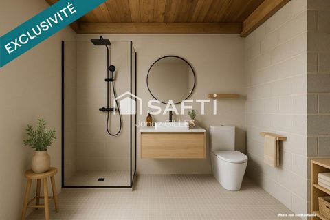photo no. 11