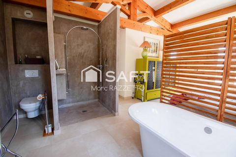 photo no. 12
