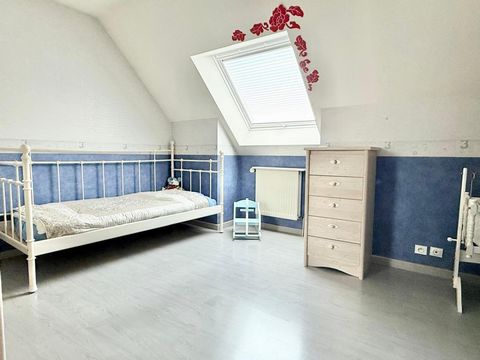 photo no. 12