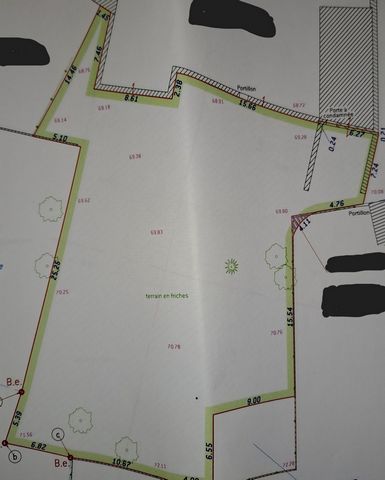 photo no. 4