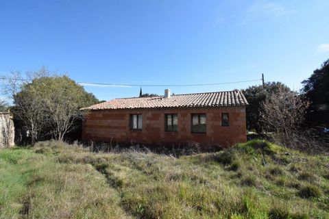 photo no. 2