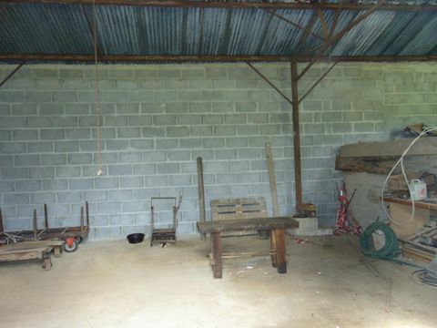 photo no. 8
