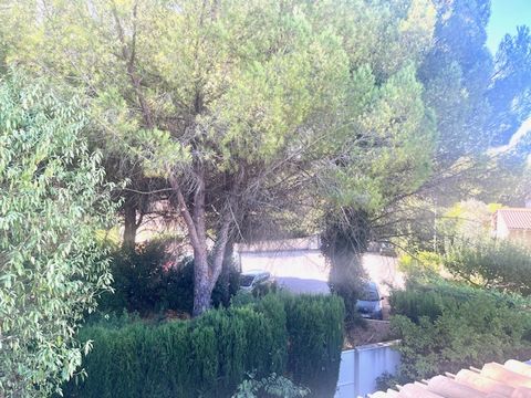 photo no. 31