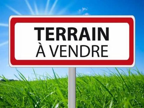 Terrain Constructible ALES (30)