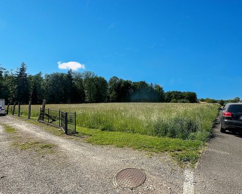 photo no. 2