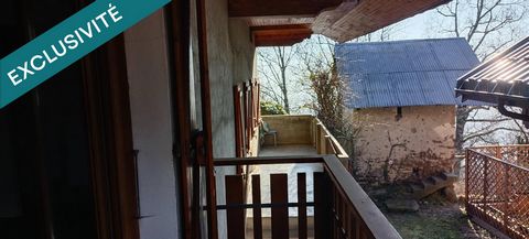 photo no. 7