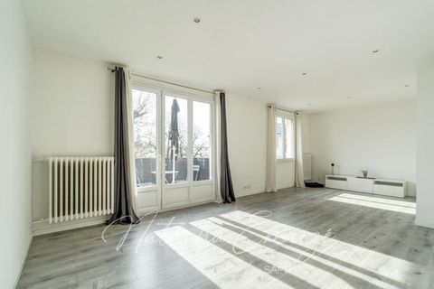 photo no. 3