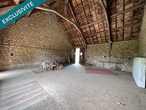 photo no. 5