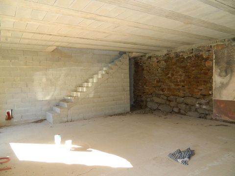 photo no. 6