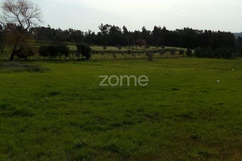 Property ID: ZMPT538761 This plot of land has approved construction following the allotment. Quiet area of the countryside, with good accessibility to Figueira da Foz, Pombal and Coimbra. Its location has the privilege of being 5 minutes away from ho...