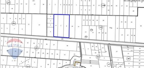 RE/MAX offers an exclusive 41 625 sq.m plot with 170 m face on Pazardzhik Road. The property is an ideal opportunity for the construction of a large industrial base, showroom, representation, TIR parking and the like! There is also the possibility of...