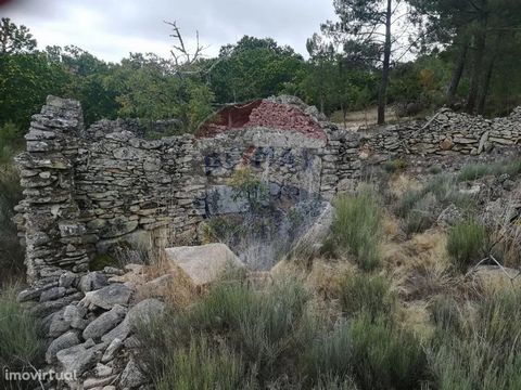 Don't miss the opportunity to acquire this rustic plot. It is a land with 250m2 of total area intended for pasture, which has a porch of 10m2, currently in ruins. It is located in Lugar do Calvário, in the parish of Souto, municipality of Penedono. C...