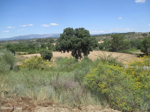 Land with 17000m2, access in tar, composed of some olive trees, cork oaks and eucalyptus. With well. Great views. Excellent business opportunity, book your visit now. * Land with 17000m2, tar access, composed of some olive trees, cork oaks and eucaly...