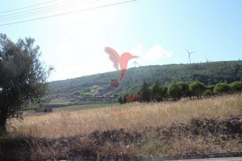 Plot for the construction of houses in an area of increasing appreciation inserted in the Serra de Aire e Candeeiros and Marinhas do Sal. Excellent sun exposure and views of the mountains. A mere 600mts from the famous Salinas and 4 km from Rio Maior...