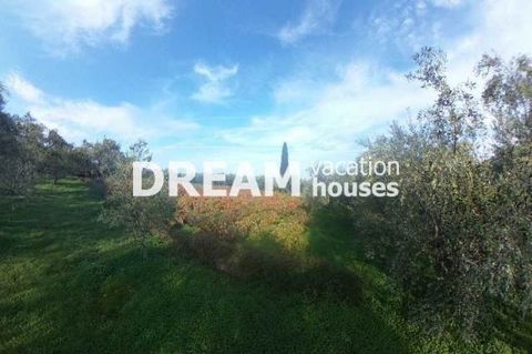 Description Agia Marina, Agricultural Land For Sale, 16.000 sq.m., Price: 630.000€. Πασχαλίδης Γιώργος Additional Information Unique plot with views towards the Ionian blue and the sunset. It has a total surface of 16000 sq.m. and a building potentia...