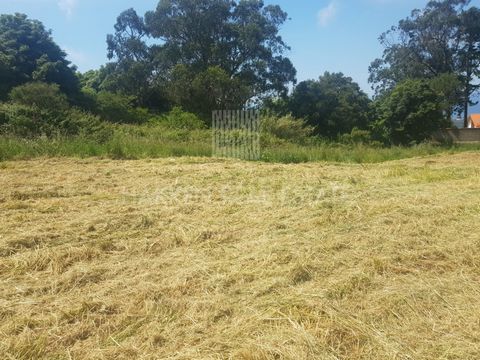Agricultural support land, with 12,800 m2 located in Quinta da Tapada, in Colares, Sintra, with sea views. Close to Praia Grande and Guincho, in a protected natural area, where you can enjoy beautiful landscapes. At Hakken, we can say that we walked ...