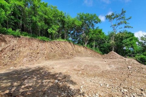 Beautiful lot for sale at just 3 minute drive to downtown Samara. Located at the entrance of a quiet residential project. This lot has jungle and small mountain views, and a platform ready to build. This is the perfect place to build your prime resid...