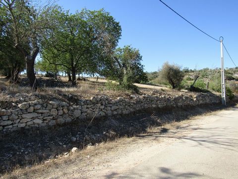 Rustic land with 2840 m2. This land is located in the Canals in Tunes, 1700 m from the center of Tunes and 3000 m from Ferreiras, access is good facing the terred road, very close to the site there is electricity and water. It is quite well populated...