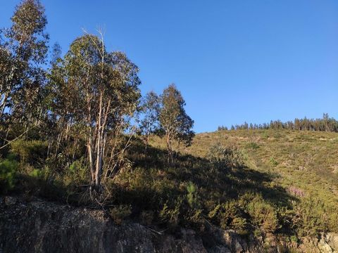Um terreno florestal em Alvarenga com 7000 metros quadrados parece ser um ótimo espaço! Alvarenga é uma região conhecida por sua beleza natural, então ter um terreno lá seria uma oportunidade incrível para desfrutar da paisagem e talvez até mesmo des...