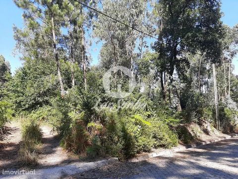 Excellent rustic land with 2,500 m2 in pine forest area, 50 m from street recently paved and with electricity grid, close to various services. Good business opportunity. Schedule your visit now.