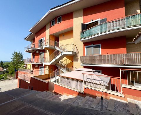 Monterotondo - Via Achille Grandi - nous proposons à la vente un appartement avec 150 m2 de jardin et un garage double. La maison est située au rez-de-chaussée d'un petit immeuble à rideaux de construction récente (2010) et se compose intérieurement ...
