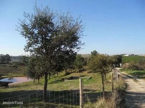 Ground with 26,000m2, slight slope. Artificial lake. Some descriptions, of what can be done with this property. With the Farm of Nature Project in Acão in the initial phase of implementation, the actions developed so far for its constitution are outl...