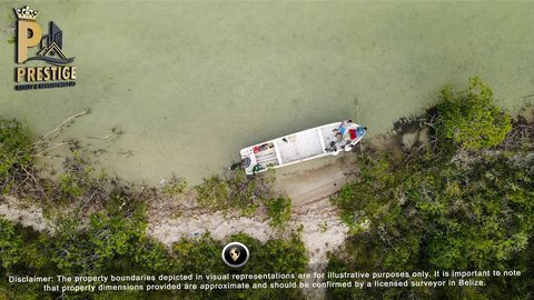 Introductie van een ongeëvenaarde kans om te investeren in een van Belize's meest veelbelovende onroerend goed juweeltjes. Dit uitgestrekte pand aan het strand ligt langs de ongerepte kustlijn en beslaat een fijn zandstrand van ongeveer 246 voet en b...