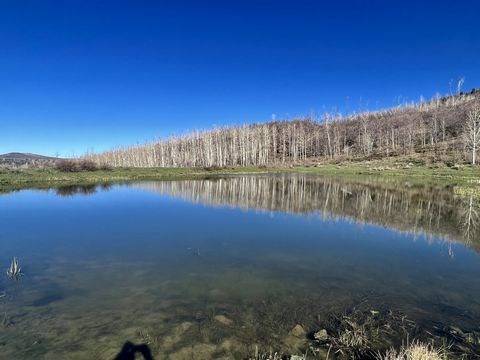 Nestled up between 8500-9000 ft. in Dolores County, Colorado, this Western Slope +/- 320 acre generational family holding, referred to as Pond Rock Elk & Cattle Ranch, has been a hunting paradise and summer cattle production ranch for generations. Th...