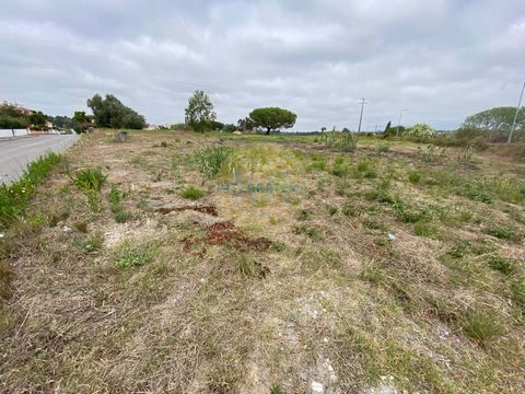 Located in Óbidos. Urbanizable land with 12.960 m2 - Óbidos Located next to the Sanctuary Senhor Jesus da Pedra, at the gates of the village of Óbidos. Excellent investment for housing or hotel industry. Classified in the PDM by level 1 urbanizable a...