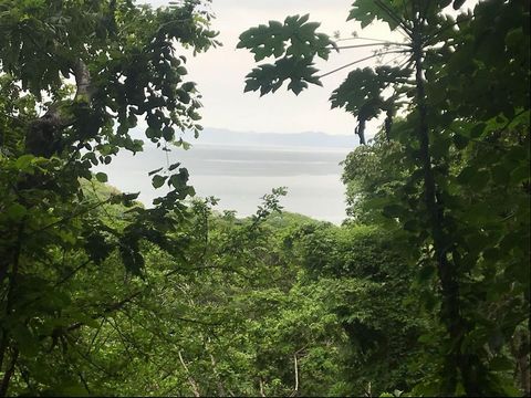 Own a piece of mountain by the beach, a 22.100 square feet lot with primary forest and (partial) ocean view. Close to gulf beaches and 2 blocks away from from Playa Gigante. Playa Gigante is right across Gitana Island, with access by boat, jet ski or...