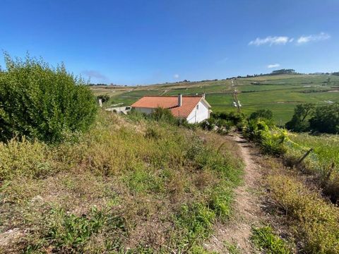 RESERVED XXX XXX XXX Two for One, Easy Renovation 2 bedroom house and another old house to restore with 2.655 sqm land close to Caldas da Rainha. Set on a hill with fantastic views of the surrounding countryside. Property located 2 steps from the cen...