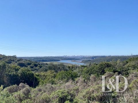 This magnificent plot of 49.7 Ha is close to the medieval town of Silves in the Algarve in Portugal. The Algarve is considered the Portuguese Cote d'Azur and the new Eldorado. Its geographical location is exceptional, the land is on a hill with an un...
