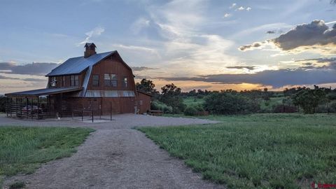 Este é um verdadeiro Colorado Horse Ranch profissional. O proprietário fez todas as melhorias possíveis para garantir que a qualidade e os detalhes superem as expectativas de seus compradores, desde os galpões de loafing personalizados, pastagens sep...