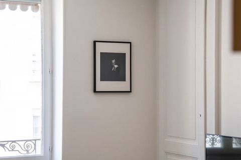photo no. 12