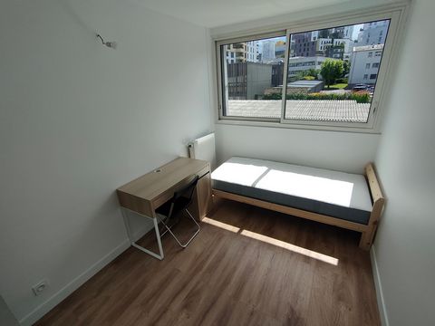 photo no. 6