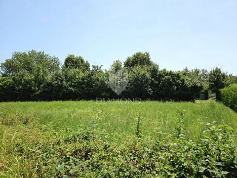 Location: Istarska županija, Poreč, Poreč. Building land in a quiet place near Poreč In the center of a quiet place, only 20 km from the city of Poreč and its beaches, this beautiful building land is for sale. The total area of the land is 1311 m2. T...