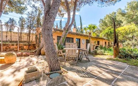 Rustic property next to the beach Es Trenc on a plot of 16,617m2 approx. This finca has a constructed area of 656m2 approx. The main house consists of on the ground floor with a stone vault, spacious living room, dining room, fitted kitchen with isla...