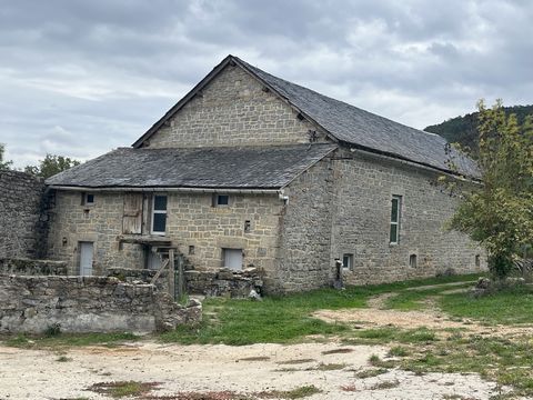 photo no. 15
