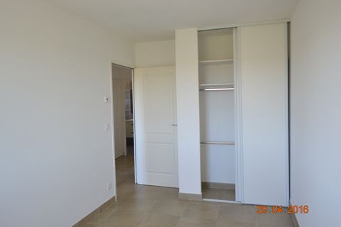 photo no. 4
