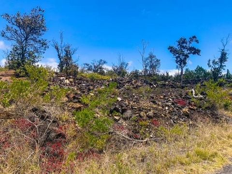 Procurando sossego e solidão? Este lote é o lugar perfeito então! Empoleirada no alto da montanha, com vista para o oceano com brisas suaves e noites frescas, esta terra vem crua e intocada, então a oportunidade de criar algo do zero está ao seu alca...