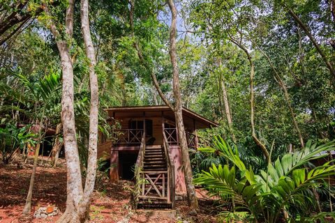 This eco-retreat property is located on 3.74 acres in Greater Negril, Westmoreland. It offers a serene escape for travellers seeking a nature-focused vacation. The property includes nine charming, solar-powered wooden cottages, each built with treate...