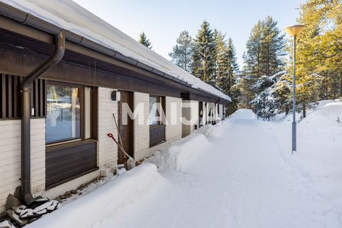 Découvrez le meilleur de Rovaniemi dans ce charmant triangle en terrasses. L’emplacement très calme le long de la route en fait une destination idéale pour les couples et les familles avec enfants. De la porte d’entrée s’ouvre un paysage boisé où les...