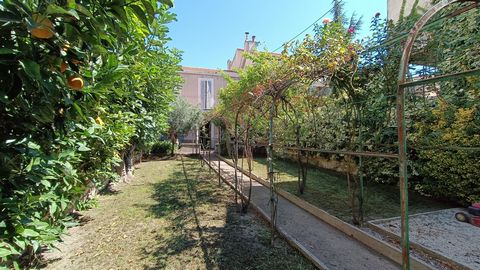 photo no. 2