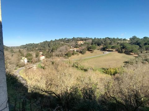 photo no. 15