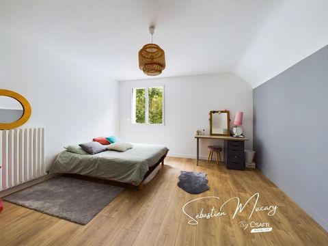 photo no. 9