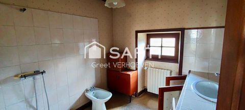 photo no. 9
