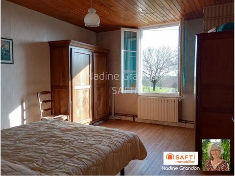 photo no. 11