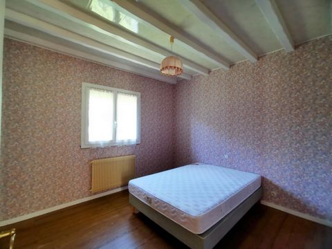 photo no. 11