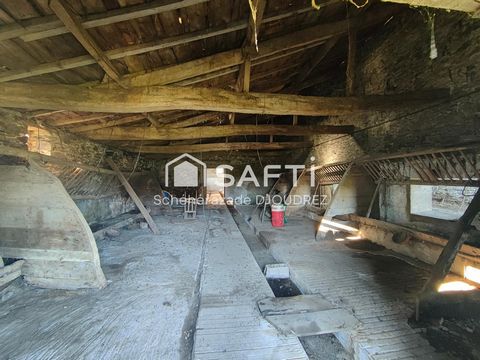 photo no. 13