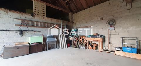 photo no. 13